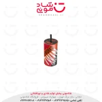 فواره دوقلو آوانار